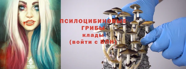 мяу мяу мука Арсеньев