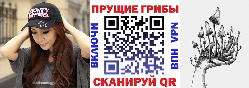 цены   Сосенский  Галлюциногенные грибы Psilocybine cubensis 